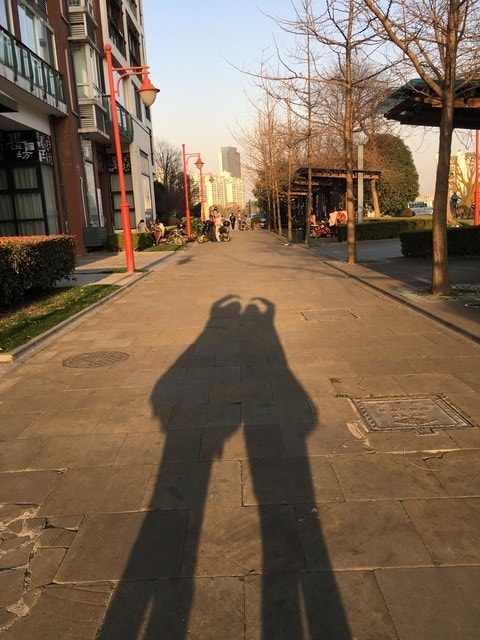 IMG_8651.jpg - 2017初上海行（2017.2.16-19）