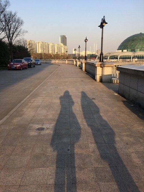 IMG_8601.jpg - 2017初上海行（2017.2.16-19）
