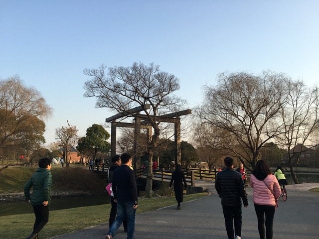 IMG_8622.jpg - 2017初上海行（2017.2.16-19）
