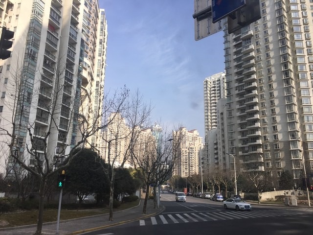 IMG_8773.jpg - 2017初上海行（2017.2.16-19）