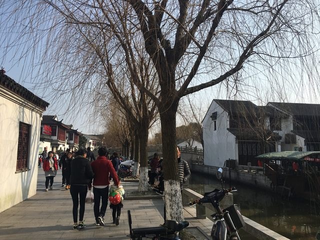 IMG_8817 (2).jpg - 2017初上海行（2017.2.16-19）
