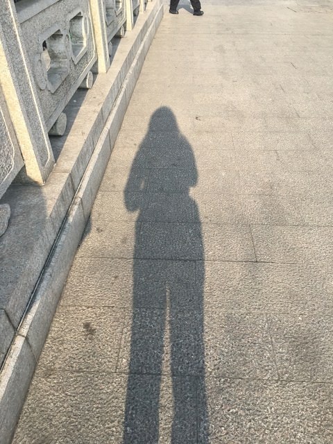 IMG_8832.jpg - 2017初上海行（2017.2.16-19）