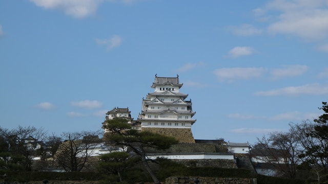 IMG_3372.JPG - 2017日本四國賞櫻（2017.3.31-4.4）