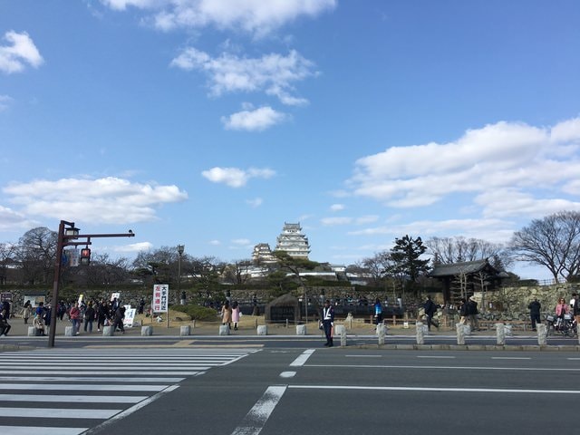 IMG_9565.jpg - 2017日本四國賞櫻（2017.3.31-4.4）