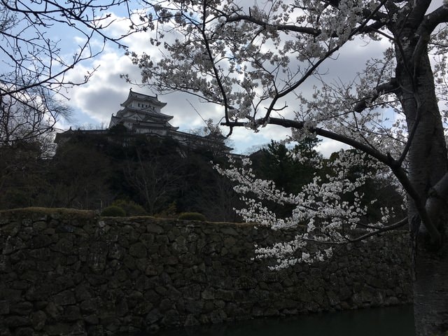 IMG_9532 (2).jpg - 2017日本四國賞櫻（2017.3.31-4.4）