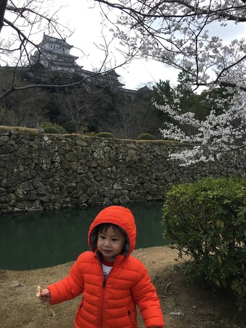 IMG_9536 (2).jpg - 2017日本四國賞櫻（2017.3.31-4.4）