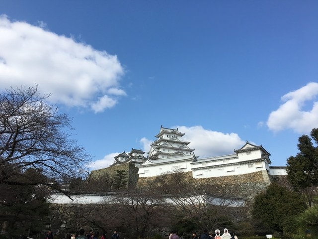 IMG_9579 (2).jpg - 2017日本四國賞櫻（2017.3.31-4.4）