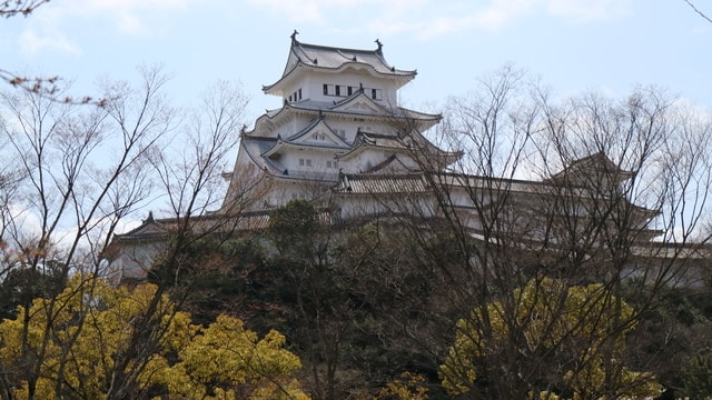 IMG_3287.JPG - 2017日本四國賞櫻（2017.3.31-4.4）
