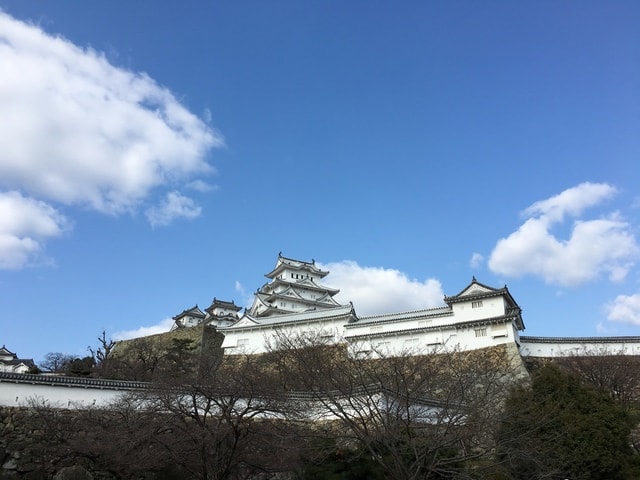 IMG_9581.jpg - 2017日本四國賞櫻（2017.3.31-4.4）