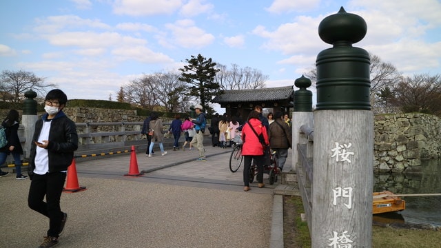 IMG_3379.JPG - 2017日本四國賞櫻（2017.3.31-4.4）
