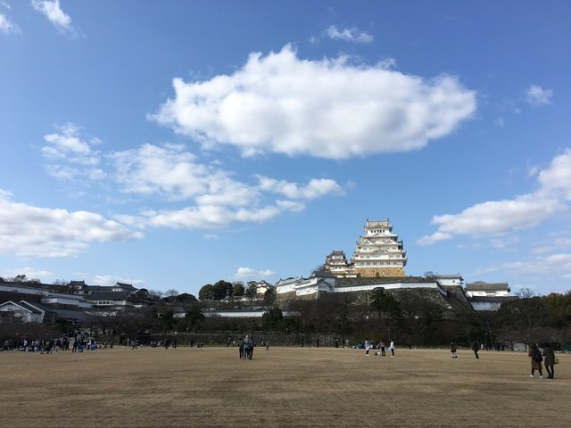 IMG_9576 (2).jpg - 2017日本四國賞櫻（2017.3.31-4.4）