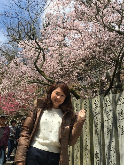IMG_9712 (2).jpg - 2017日本四國賞櫻（2017.3.31-4.4）