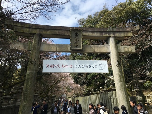 IMG_9688.jpg - 2017日本四國賞櫻（2017.3.31-4.4）