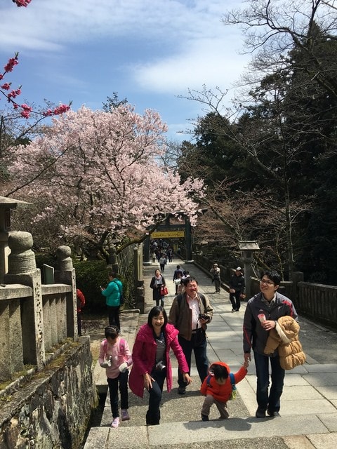 IMG_9720.jpg - 2017日本四國賞櫻（2017.3.31-4.4）