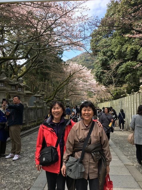 IMG_9691 (2).jpg - 2017日本四國賞櫻（2017.3.31-4.4）