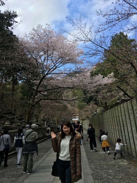 IMG_9696 (2).jpg - 2017日本四國賞櫻（2017.3.31-4.4）