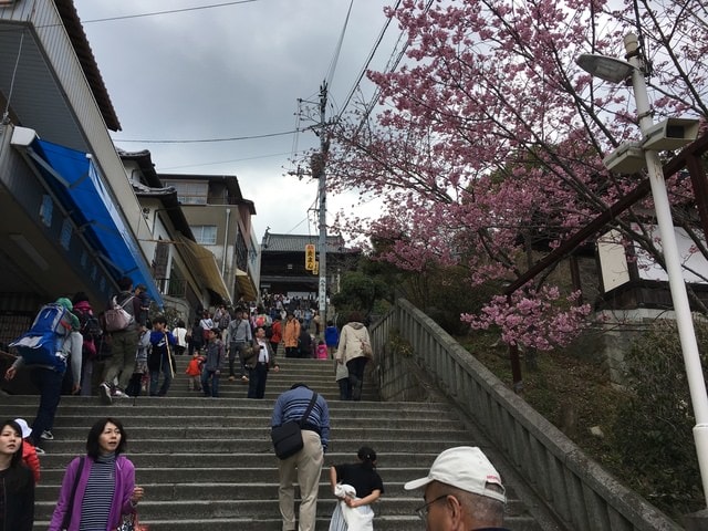 IMG_9872 (2).jpg - 2017日本四國賞櫻（2017.3.31-4.4）