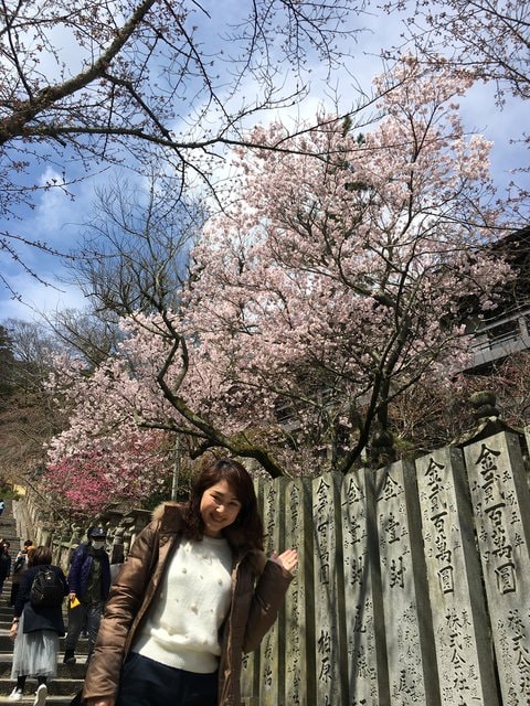 IMG_9710 (2).jpg - 2017日本四國賞櫻（2017.3.31-4.4）