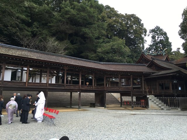 IMG_9838 (2).jpg - 2017日本四國賞櫻（2017.3.31-4.4）