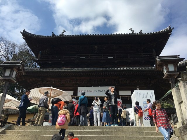 IMG_9678.jpg - 2017日本四國賞櫻（2017.3.31-4.4）