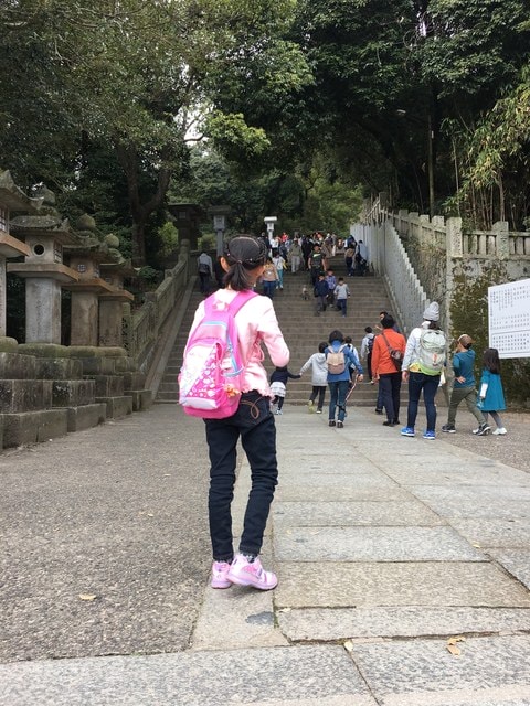 IMG_9771 (2).jpg - 2017日本四國賞櫻（2017.3.31-4.4）