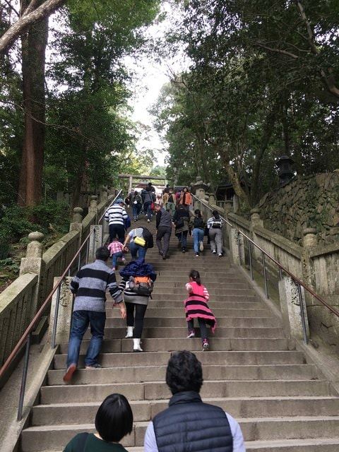 IMG_9809.jpg - 2017日本四國賞櫻（2017.3.31-4.4）