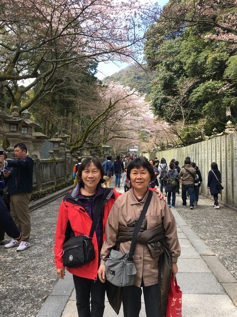 IMG_9689 (2).jpg - 2017日本四國賞櫻（2017.3.31-4.4）