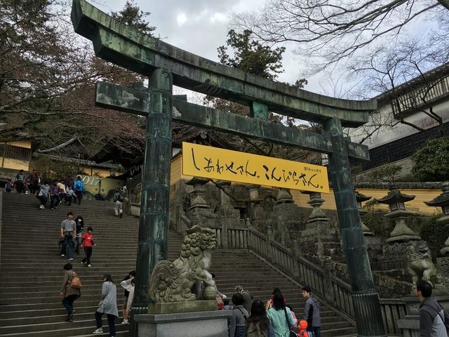 IMG_9756.jpg - 2017日本四國賞櫻（2017.3.31-4.4）
