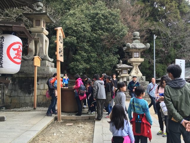 IMG_9793 (2).jpg - 2017日本四國賞櫻（2017.3.31-4.4）