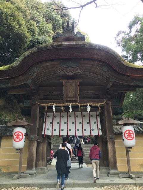 IMG_9805.jpg - 2017日本四國賞櫻（2017.3.31-4.4）