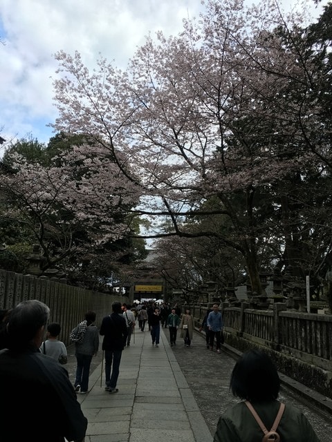 IMG_9860.jpg - 2017日本四國賞櫻（2017.3.31-4.4）
