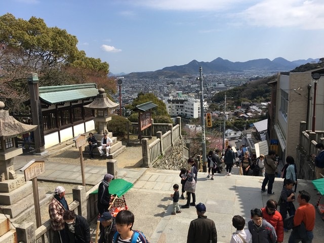 IMG_9680.jpg - 2017日本四國賞櫻（2017.3.31-4.4）