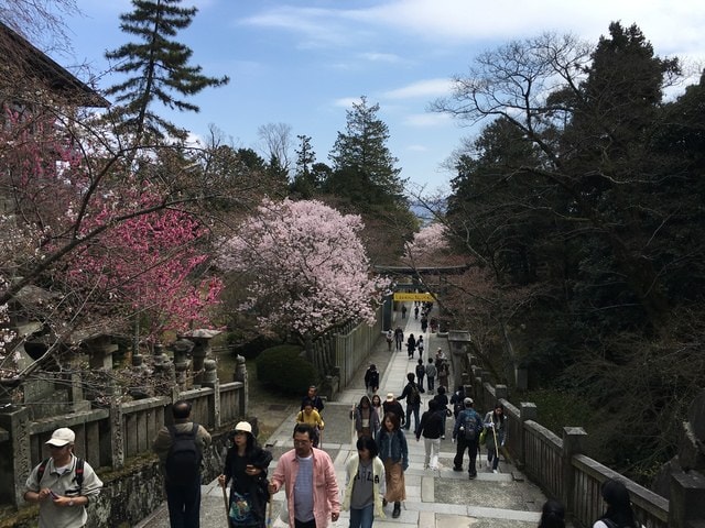 IMG_9727.jpg - 2017日本四國賞櫻（2017.3.31-4.4）