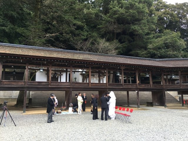 IMG_9840.jpg - 2017日本四國賞櫻（2017.3.31-4.4）