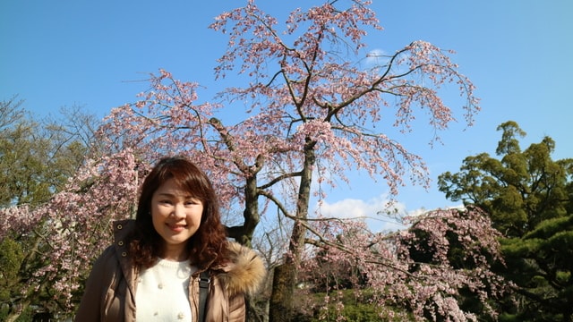 IMG_3728.JPG - 2017日本四國賞櫻（2017.3.31-4.4）