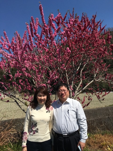 IMG_0156.jpg - 2017日本四國賞櫻（2017.3.31-4.4）