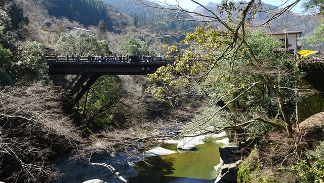 DSC04426.JPG - 2017日本四國賞櫻（2017.3.31-4.4）
