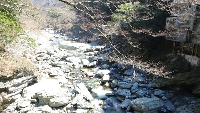 DSC04425.JPG - 2017日本四國賞櫻（2017.3.31-4.4）