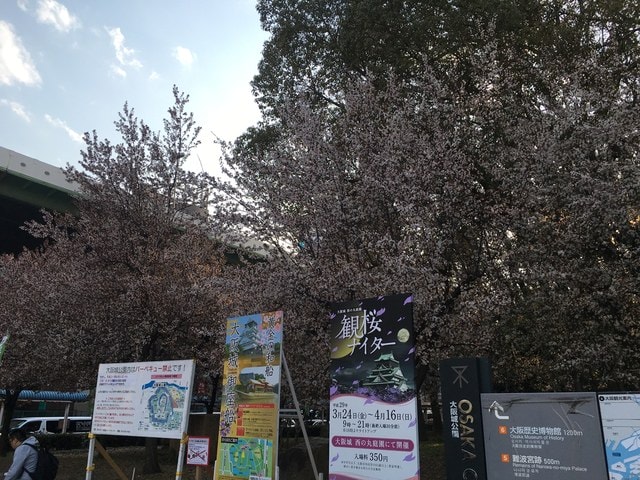 IMG_0198 (2).jpg - 2017日本四國賞櫻（2017.3.31-4.4）