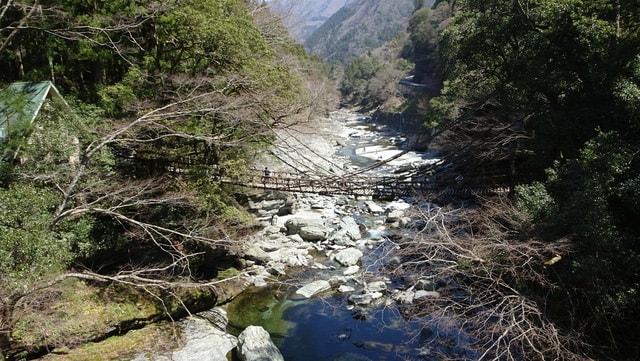 DSC04444.JPG - 2017日本四國賞櫻（2017.3.31-4.4）