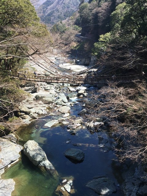 IMG_0139.jpg - 2017日本四國賞櫻（2017.3.31-4.4）
