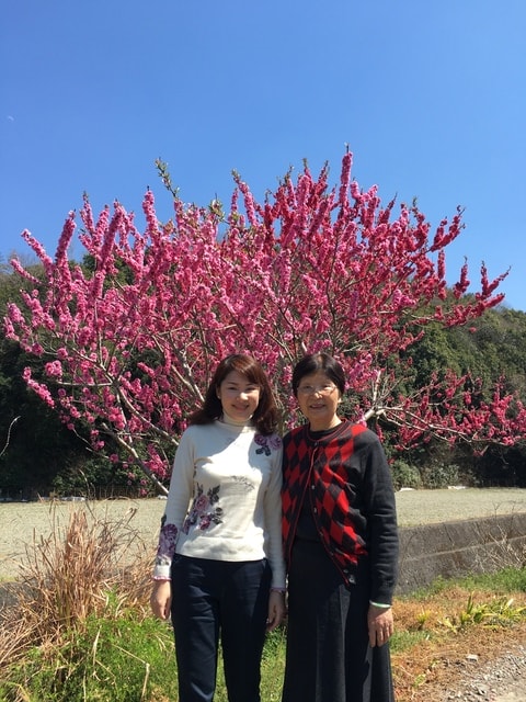IMG_0153.jpg - 2017日本四國賞櫻（2017.3.31-4.4）