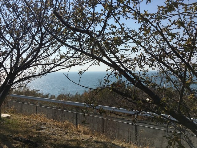 IMG_0191.jpg - 2017日本四國賞櫻（2017.3.31-4.4）