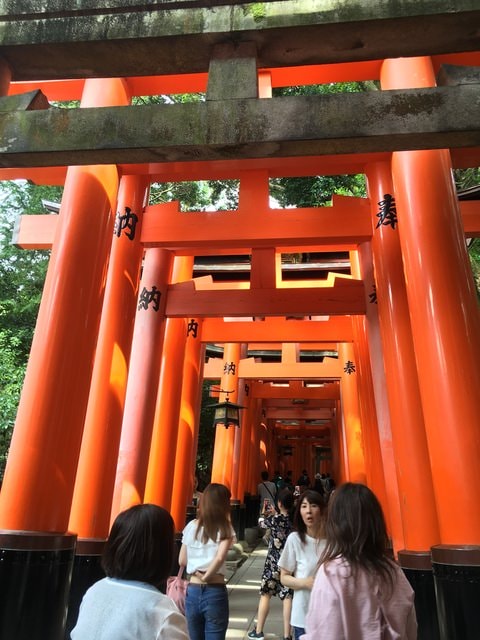 IMG_3255 (2).jpg - 2017年日本學術旅遊行（2017.6.29-7.5）