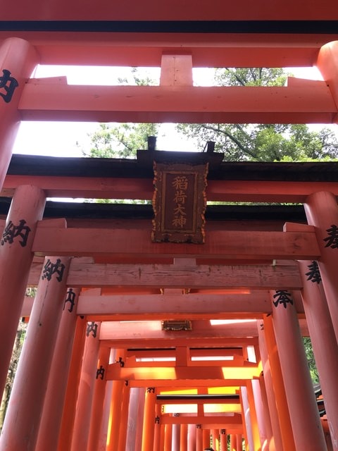 IMG_3312.jpg - 2017年日本學術旅遊行（2017.6.29-7.5）