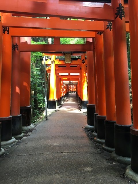 IMG_3325.jpg - 2017年日本學術旅遊行（2017.6.29-7.5）