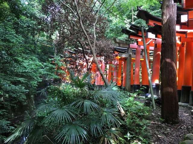 IMG_3328.jpg - 2017年日本學術旅遊行（2017.6.29-7.5）