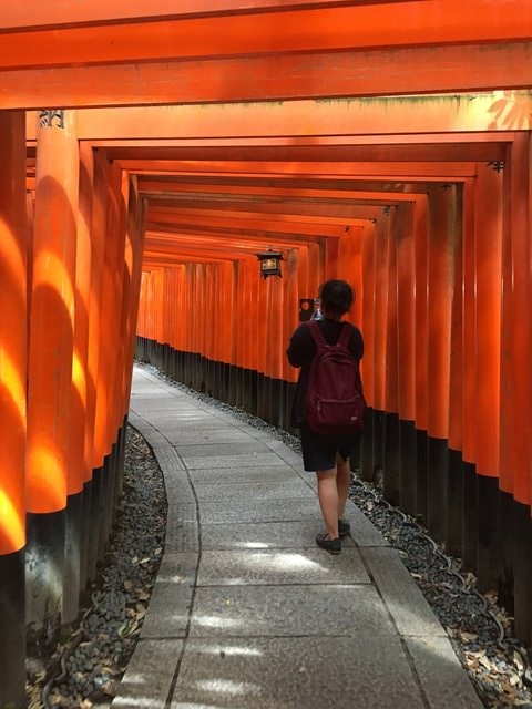 IMG_3286.jpg - 2017年日本學術旅遊行（2017.6.29-7.5）