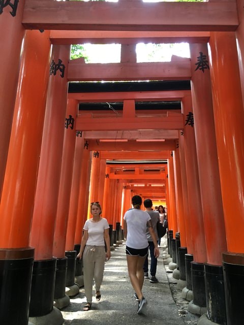 IMG_3290.jpg - 2017年日本學術旅遊行（2017.6.29-7.5）