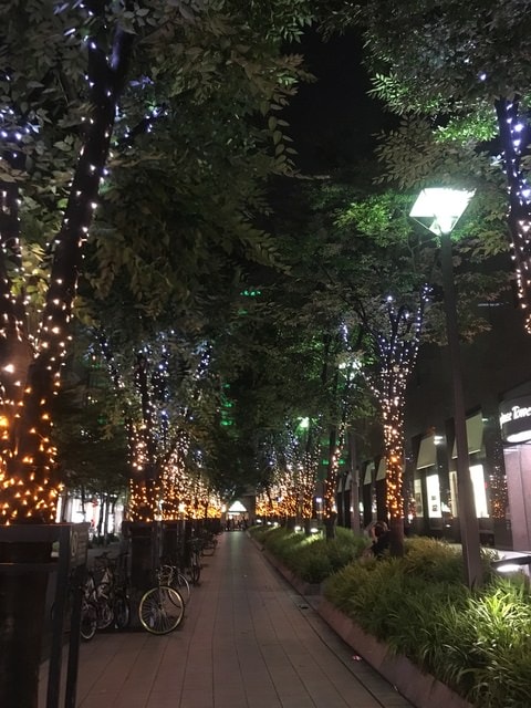 IMG_3430.jpg - 2017年日本學術旅遊行（2017.6.29-7.5）